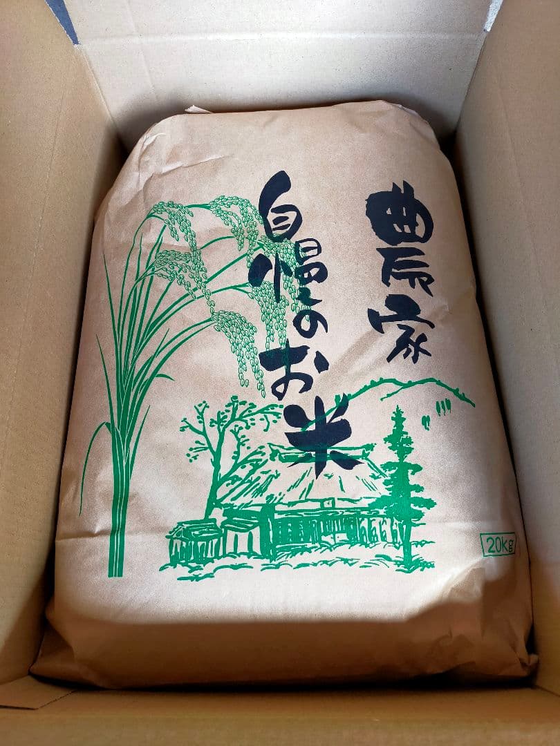 農家直送　20キロ　玄米　令和7年産コシヒカリ①